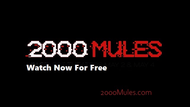 WATCH NOW ‘2,000 MULES’: Election Fraud 2020 thumbnail