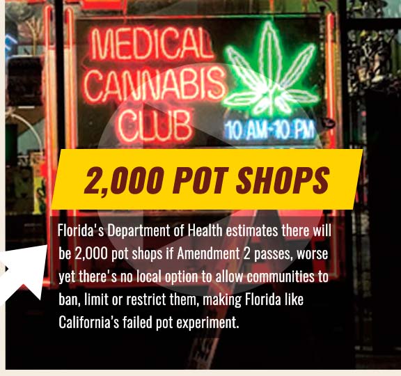 2000 pot shops in florida