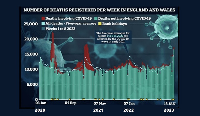 Massive Spike in Excess Deaths Sparks Calls for ‘Urgent Investigation’ thumbnail