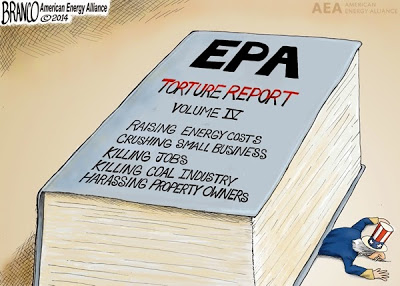 Cartoon - EPA Torture Report