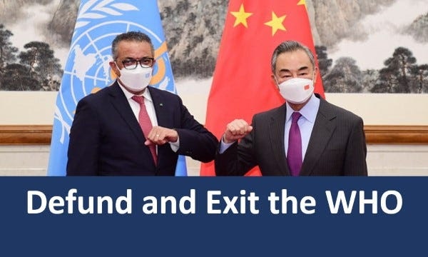 10 Major Reasons to Exit the World Health Organization thumbnail