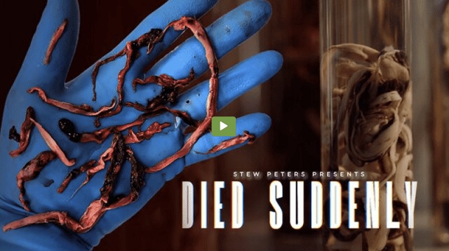 Watch the World Premiere of ‘Died Suddenly’ thumbnail