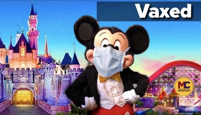 Disney Park Charges Unvaccinated Guests More, Offers Discount to Vaccinated Guests thumbnail