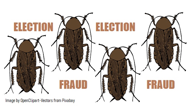 Election Fraud: Turn Over the Rocks and Watch the Bugs Scurry Underneath thumbnail