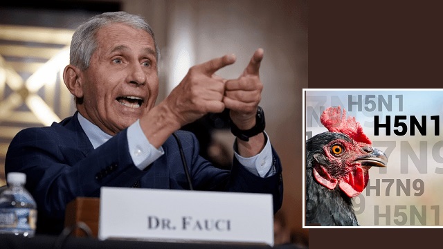 Former CDC Director Warned Fauci Not to ‘Give Terrorists Recipe’ to Modify Bird Flu to Kill 5%-50% of Infected thumbnail