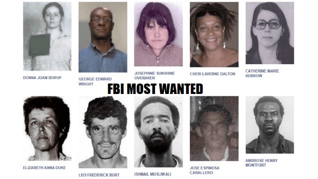 Leftists Dominate FBI Top 10 Domestic Terror List, Despite Warnings About Far Right thumbnail