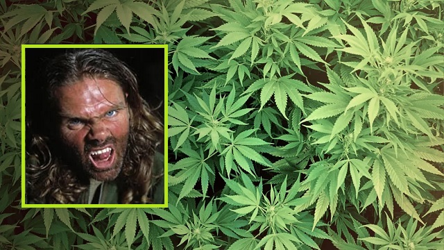 PODCAST: Legalizing Marijuana Wasn’t Really a Great Idea and The Advent of ‘Feral Man’ thumbnail