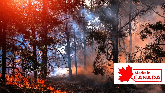 Who’s to blame for the massive wildfires in the Northeast? Canada! thumbnail