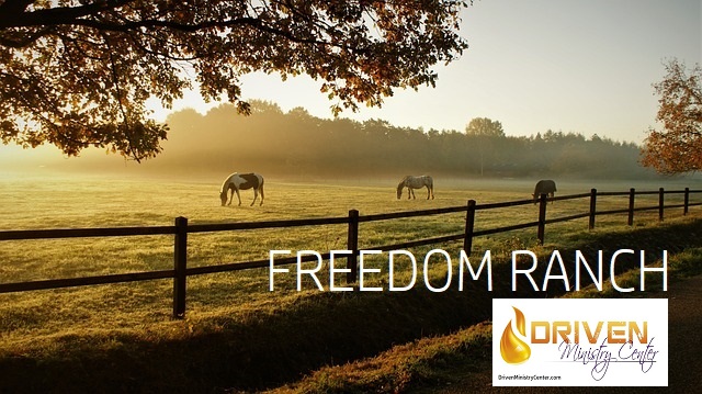 Driven Ministry Center seeks to purchase a 2,000-acre ranch in Ocala, Florida to be called ‘Freedom Ranch’ thumbnail
