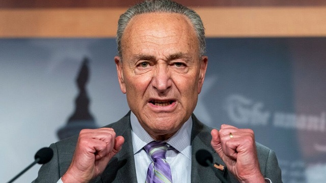 Schumer Blasted For Claim That Illegals Will Solve U.S. Birth Rate thumbnail