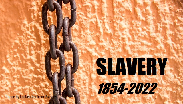 On March 20th, 1854 The Opponents of Slavery Founded the Republican Party — Today The GOP Opposes Marxist Slavery thumbnail