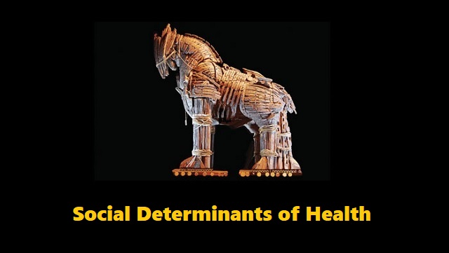 Social Determinants of Health: A Trojan Horse thumbnail