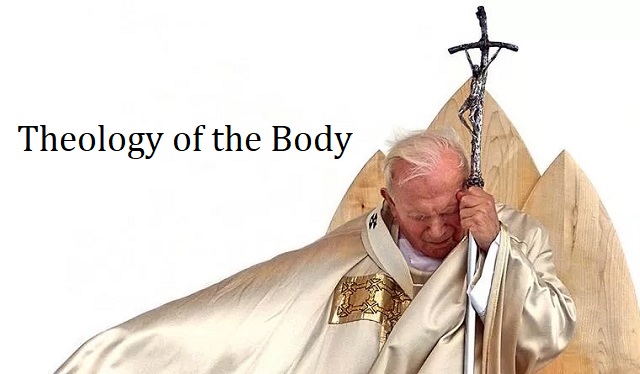 Saint John Paul II’s Theology of the Body: ‘God created man in his own image…male and female he created them.’ thumbnail