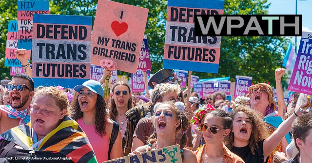 Leaked Files Reveal WPATH’s Awareness of ‘Debilitating,’ ‘Potentially Fatal’ Effects of Trans Procedures thumbnail