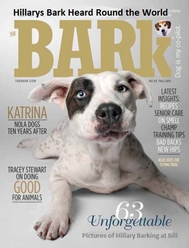 bark magazine cover
