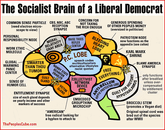 cartoon - liberals-brain