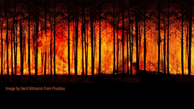 Environmentalists Promising to Save Planet by Planting Trees Keep Starting Forest Fires thumbnail