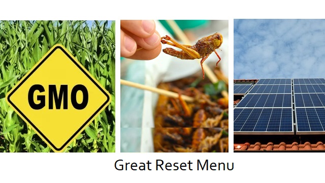 PODCAST: Great Reset Menu—GMO Food, Bugs and Solar Panels thumbnail