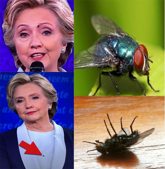 hillary-fly-composit
