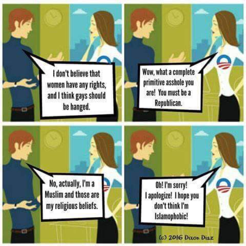 liberal logis gays mulim islamophobia graphic