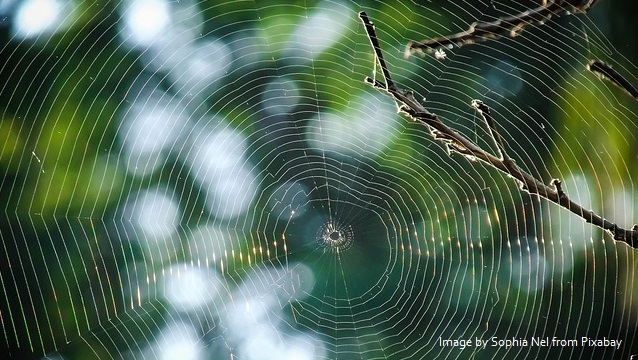 No Strings for Hamas, a Spider Web for Israel thumbnail