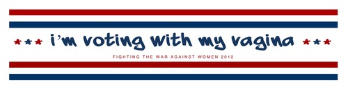 voting my vagina logo
