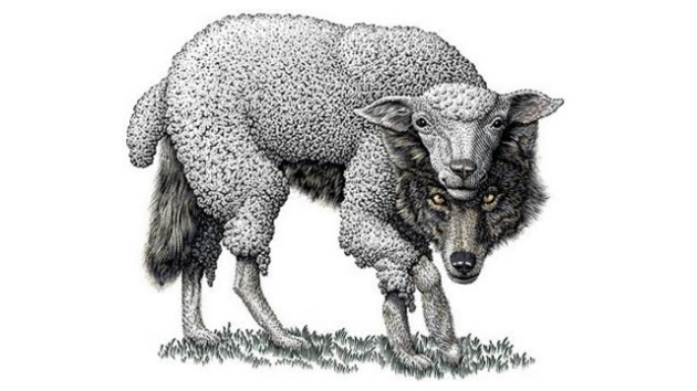 wolf in sheep's clothing sb